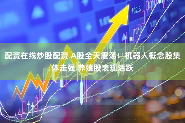 配资在线炒股配资 A股全天震荡！机器人概念股集体走强 养殖股表现活跃