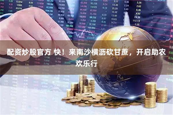 配资炒股官方 快！来南沙横沥砍甘蔗，开启助农欢乐行